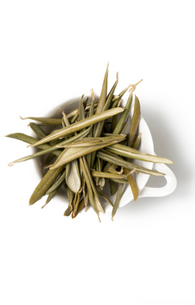 Zeytin Yaprağı Çayı 1 Paket