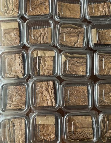 Glutensiz Şekersiz Brownie 1 DİLİM